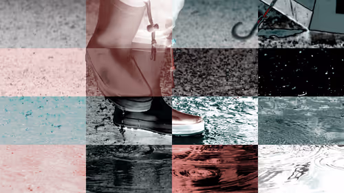 Untitled Collection #242410410