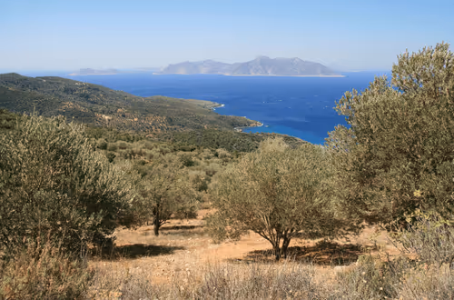 Untitled Collection #116798253