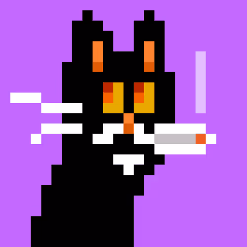 Untitled Collection #77494490