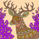 Weird MetaDeers