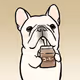 yamamo Frenchbulldogs.