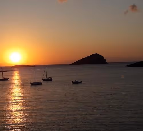 Untitled Collection #84031904