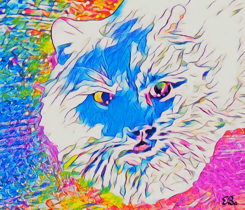 Range of feelings & emotions