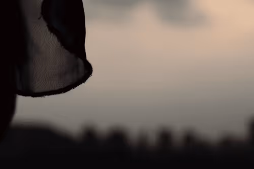 Untitled Collection #88596612