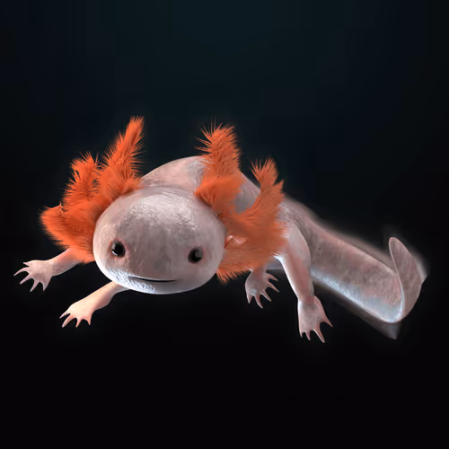 Item #39982110375740153587505644478940195082872270202471884348459982158994870370305 Media