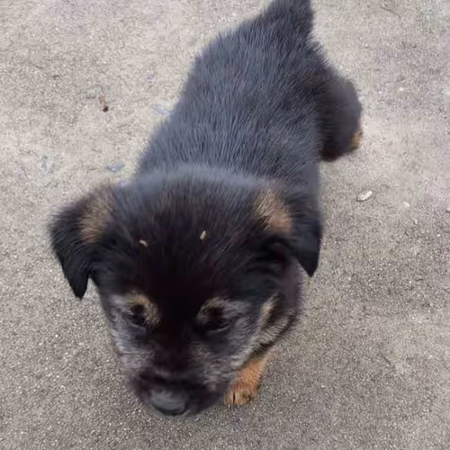 Untitled Collection #79414721