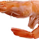 oneshrimpandoneshrimponly Collection