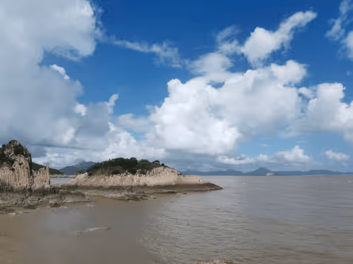 Untitled Collection #47766337