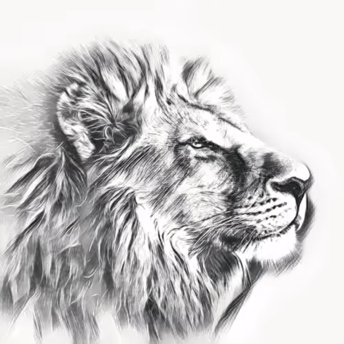 Item #13324389896169280785724229515865424122863587098162181637373510595375861334017 Media