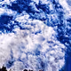 Look to the sky