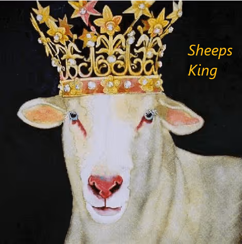 Untitled Collection #144313319