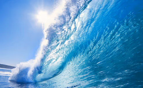 Untitled Collection #58426079