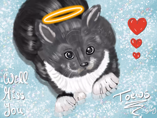 Item #78893462601875012790630459854495049347701389485500779811786785679348842102785 Media