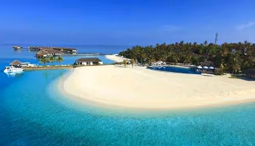 Untitled Collection #48847475