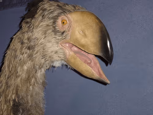 Untitled Collection #176080164