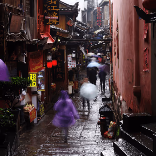 Untitled Collection #76881664