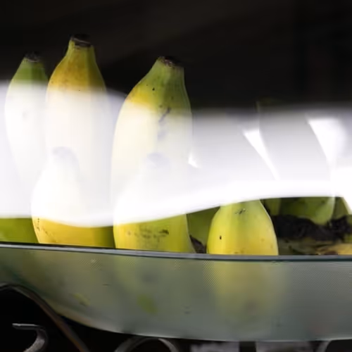 Untitled Collection #42504620