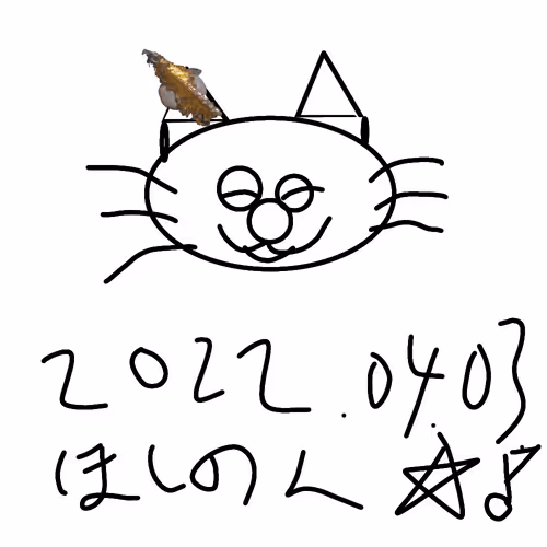 Untitled Collection #209017375