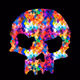 Skully McHeady