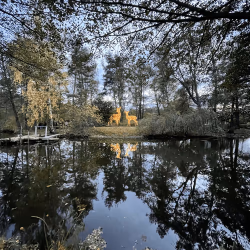 Untitled Collection #76861824