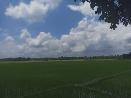 Untitled Collection #33524517