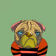 dog family54