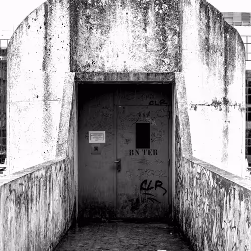 Untitled Collection #189519632