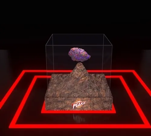 Untitled Collection #123543390