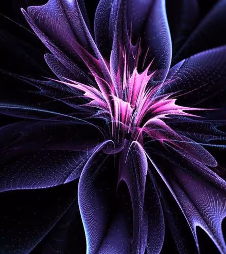 Untitled Collection #31191322