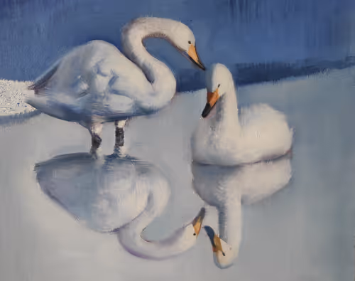 Item #64318745411404062669200330514642249182749671986222791980212163682590886199396 Media