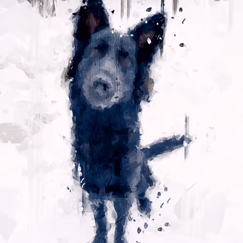 Untitled Collection #91015045