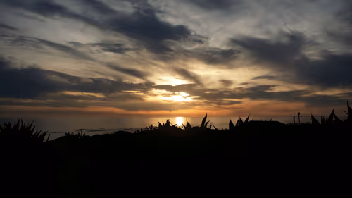 Untitled Collection #390917495