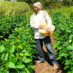 39916610678052500138596211548792698776473563312308341193271399276422218383361