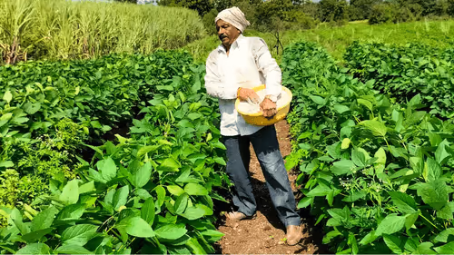 39916610678052500138596211548792698776473563312308341193271399276422218383361