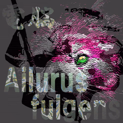 Untitled Collection #206271667