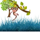Monkey on Tree V3