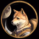 Dogecoin to the Moon