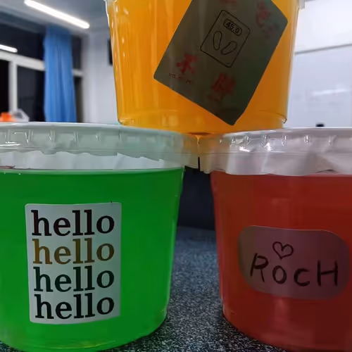 successus.lens-Collect-57