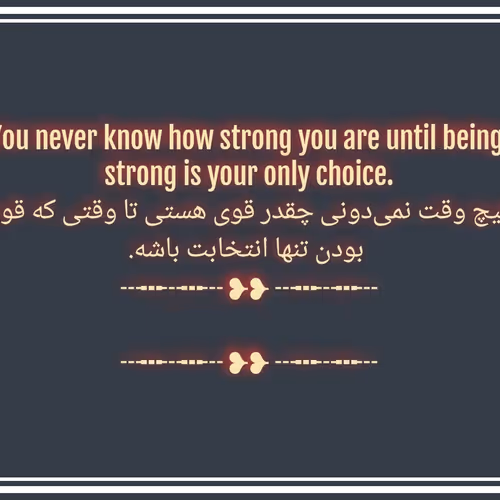 someone_else7.lens-Collect-829