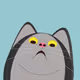 WTF Cat