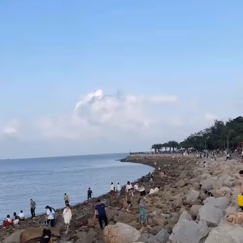 today.lens-Collect-390