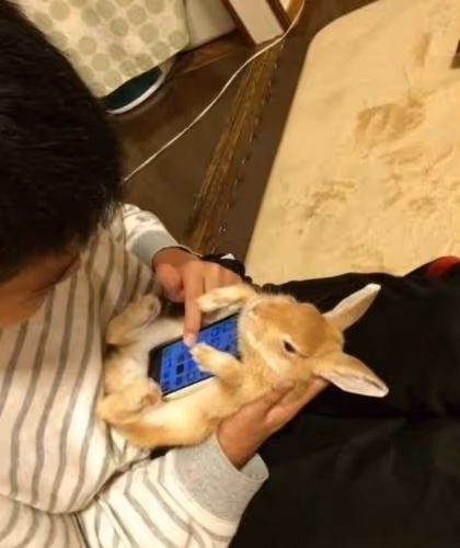 mamal.lens-Collect-1444