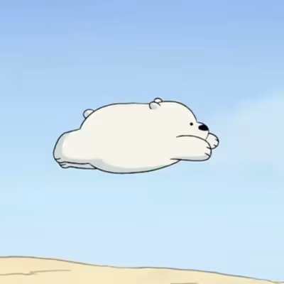 Flying Ice Bear