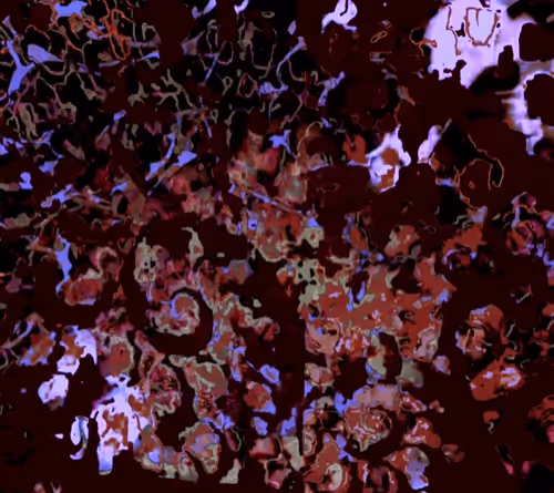 Programadores do Amanha