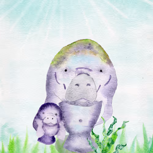 Manatee #1