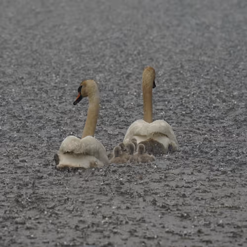 Fx_deleted photography