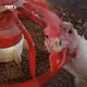 defiprincess.lens-Collect-340