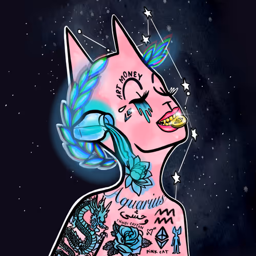 PinkCat V2