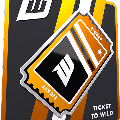 Wildcard Flair