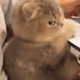 uuu